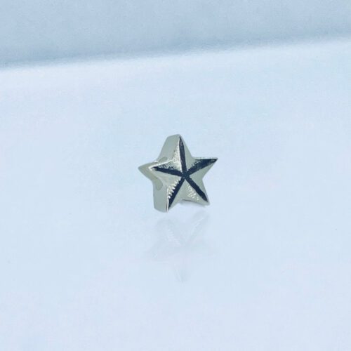 Verwisselbare los hanger Dames Sieraden Zeester