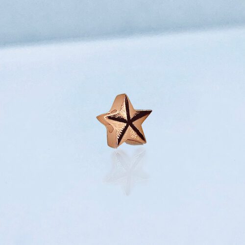 Verwisselbare los hanger Dames Sieraden Zeester