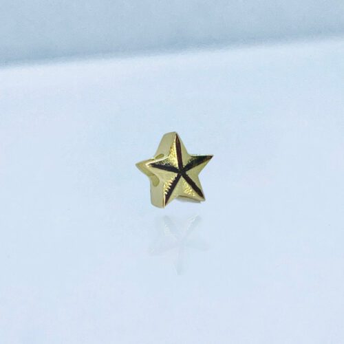 Verwisselbare los hanger Dames Sieraden Zeester