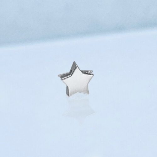 Verwisselbare los hanger Dames Sieraden Ster 1/glans 1/maat