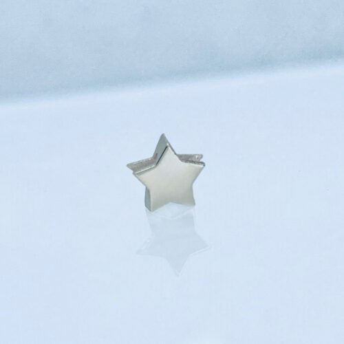 Verwisselbare los hanger Dames Sieraden Ster 1/glans 1/maat