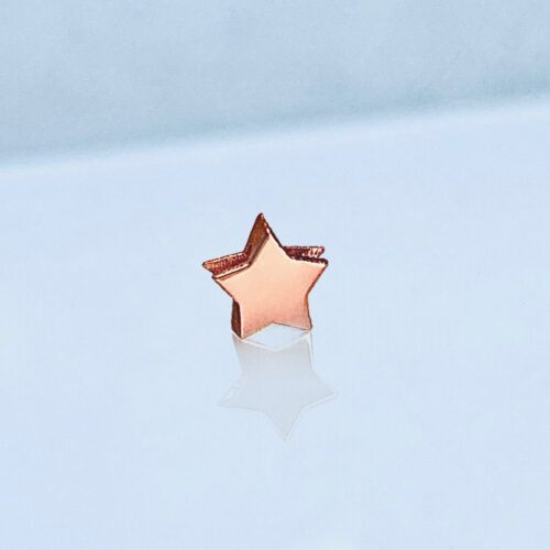 Verwisselbare los hanger Dames Sieraden Ster 1/glans 1/maat